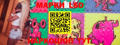 шишки Донской