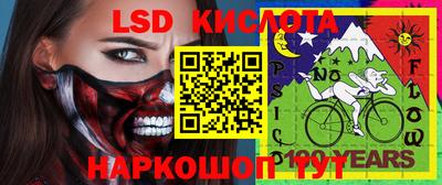 шишки Донской