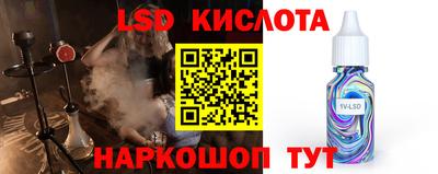 шишки Донской