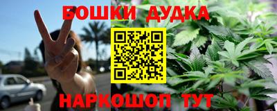 шишки Донской