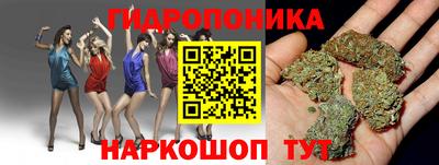 шишки Донской
